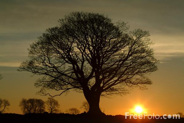 15_30_47-sunrise-northumberland_web