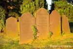 05_23_12---Graveyard_web