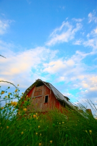 1282413_big_red_barn