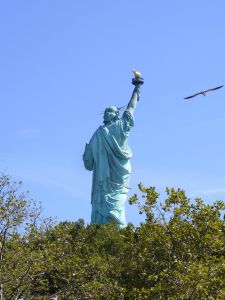 1179718_new_york_city