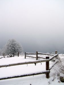 zbytiny---sumava-2-1167880-m